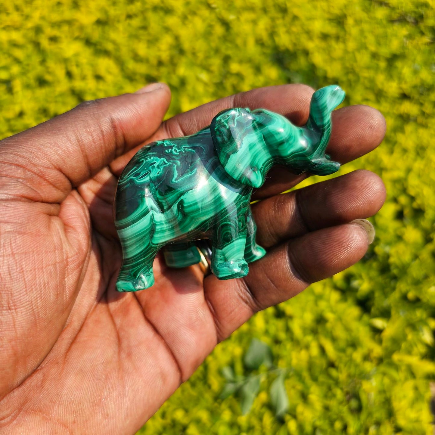Malachite Elephant 🐘