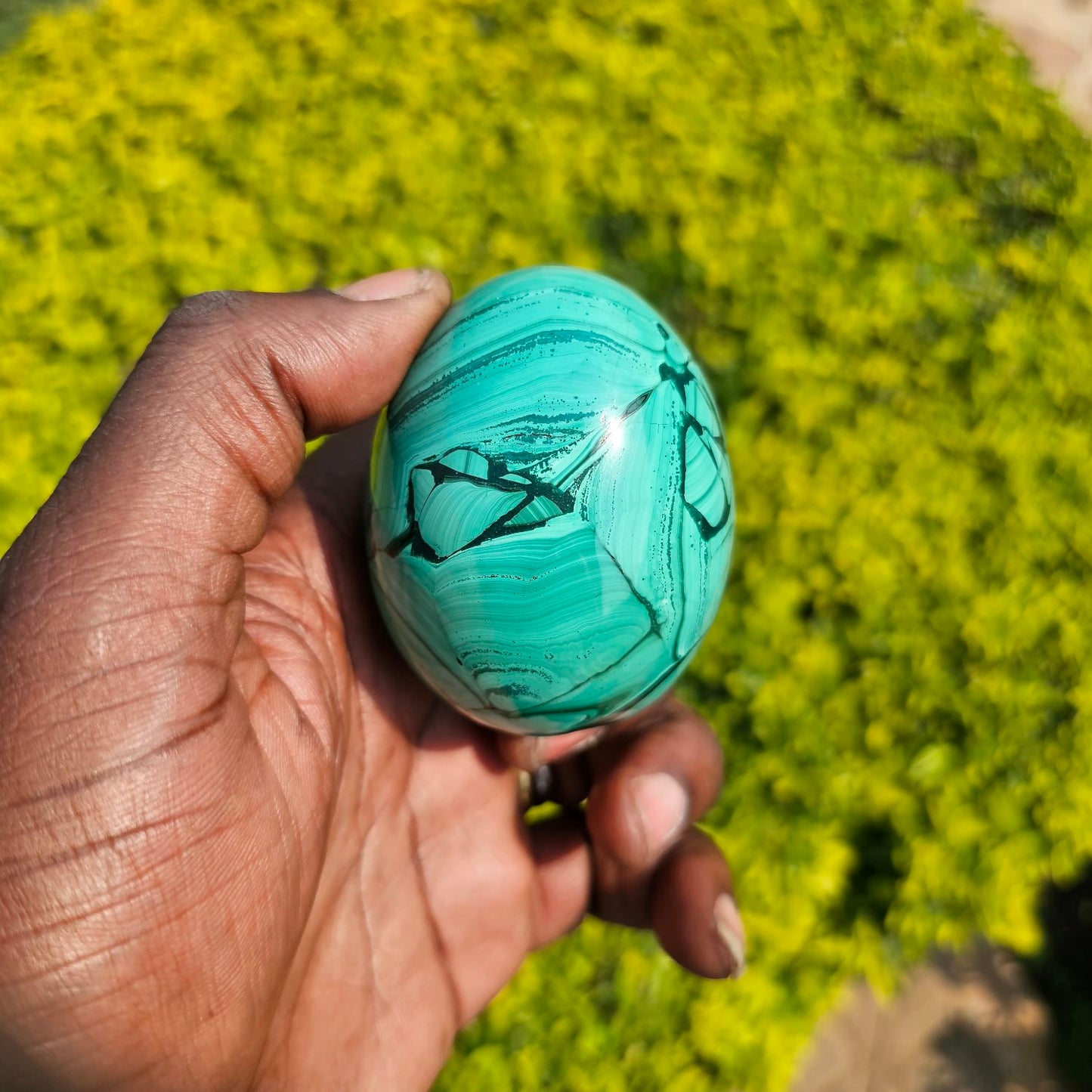 Malachite eggs