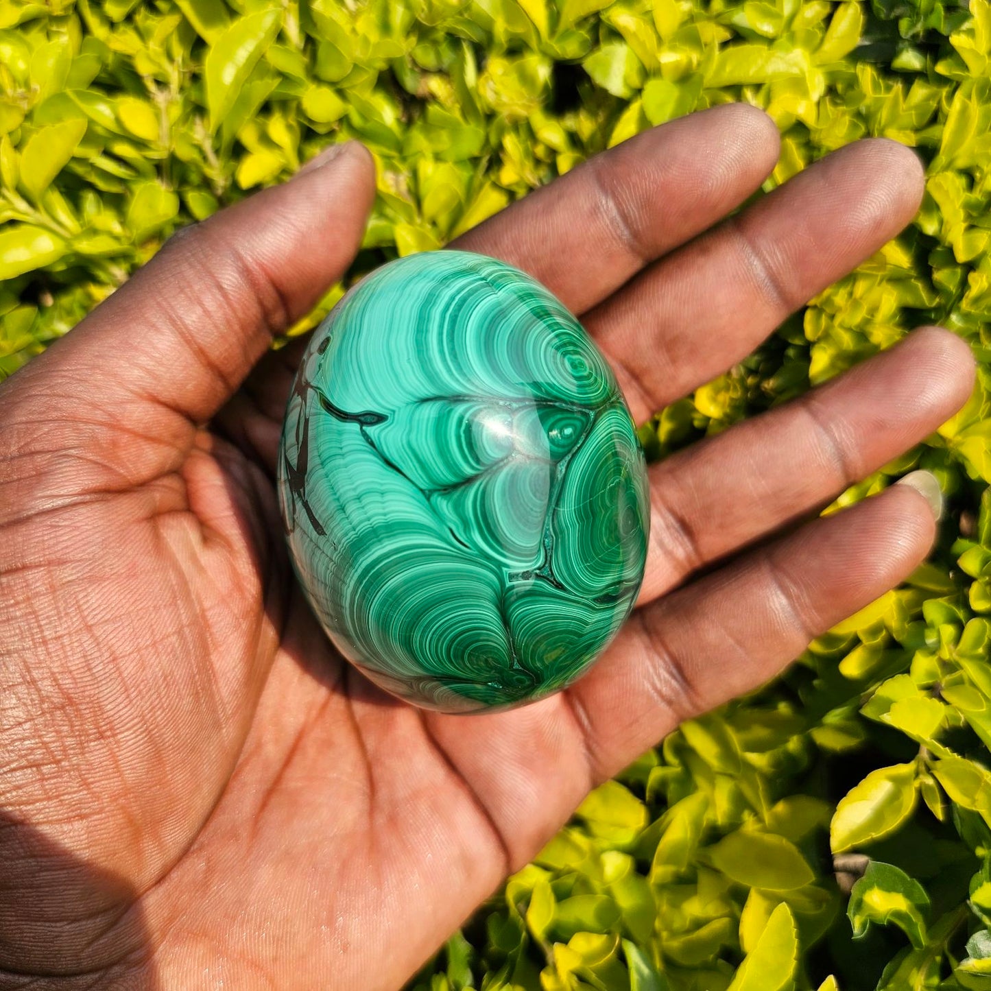 Malachite eggs