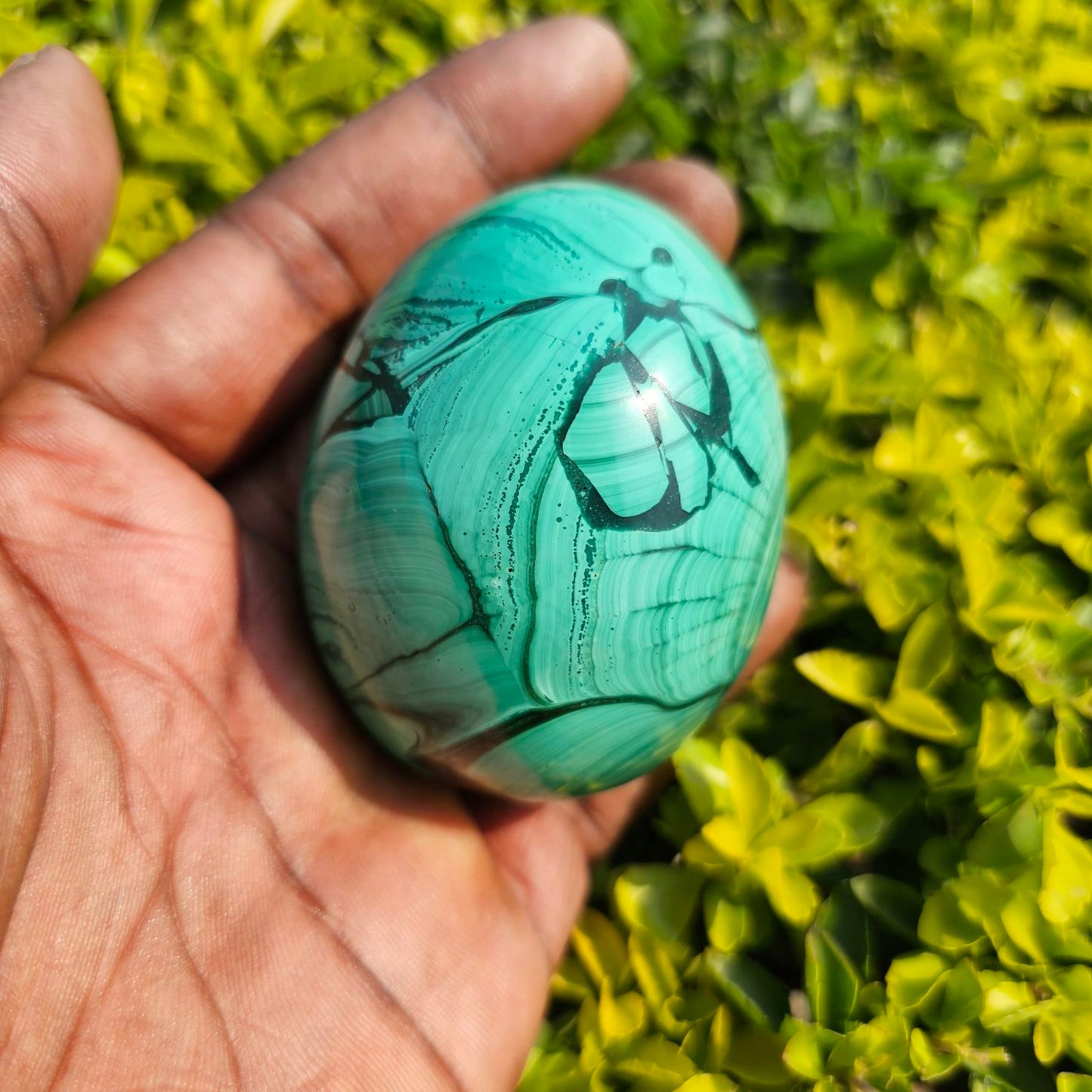 Malachite eggs