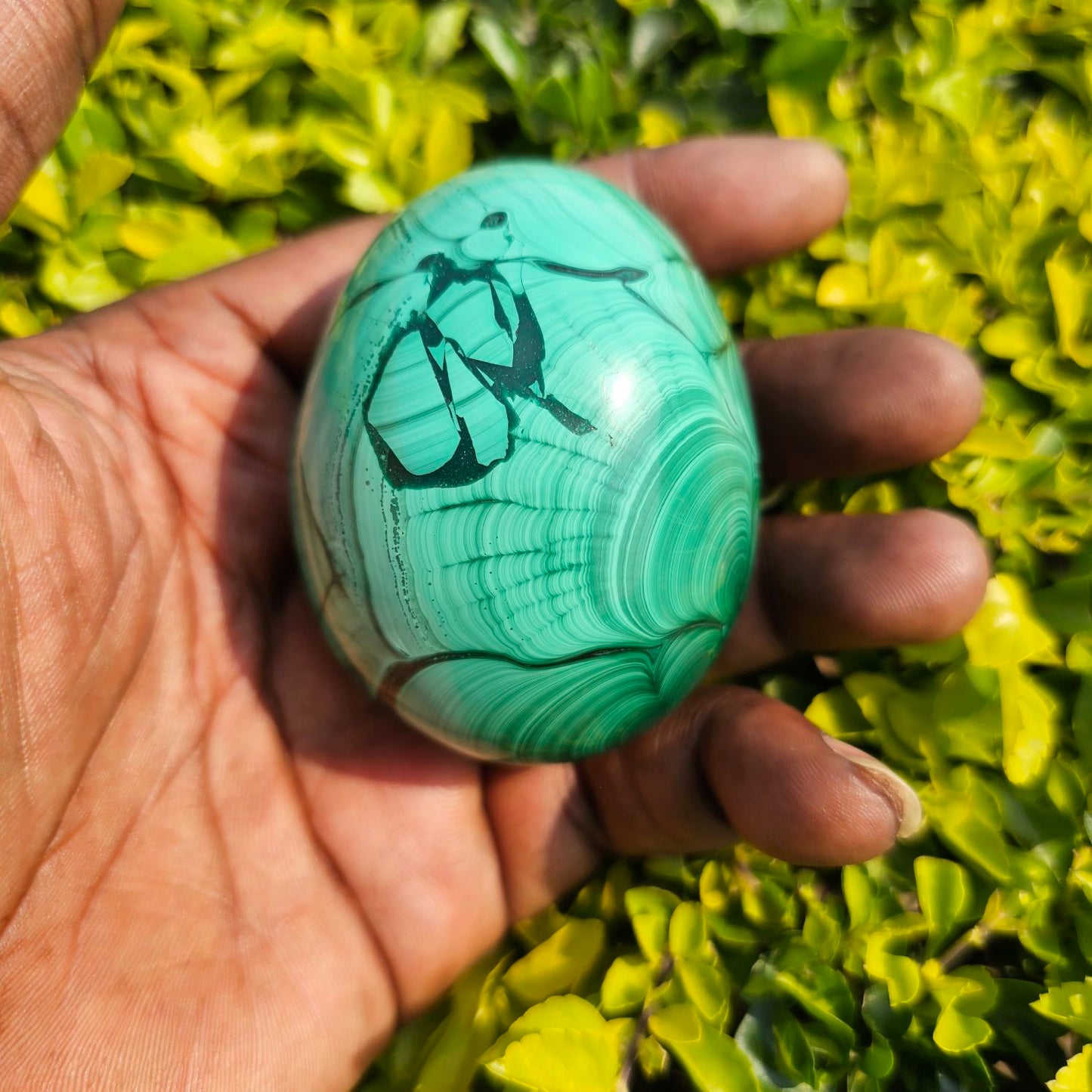 Malachite eggs
