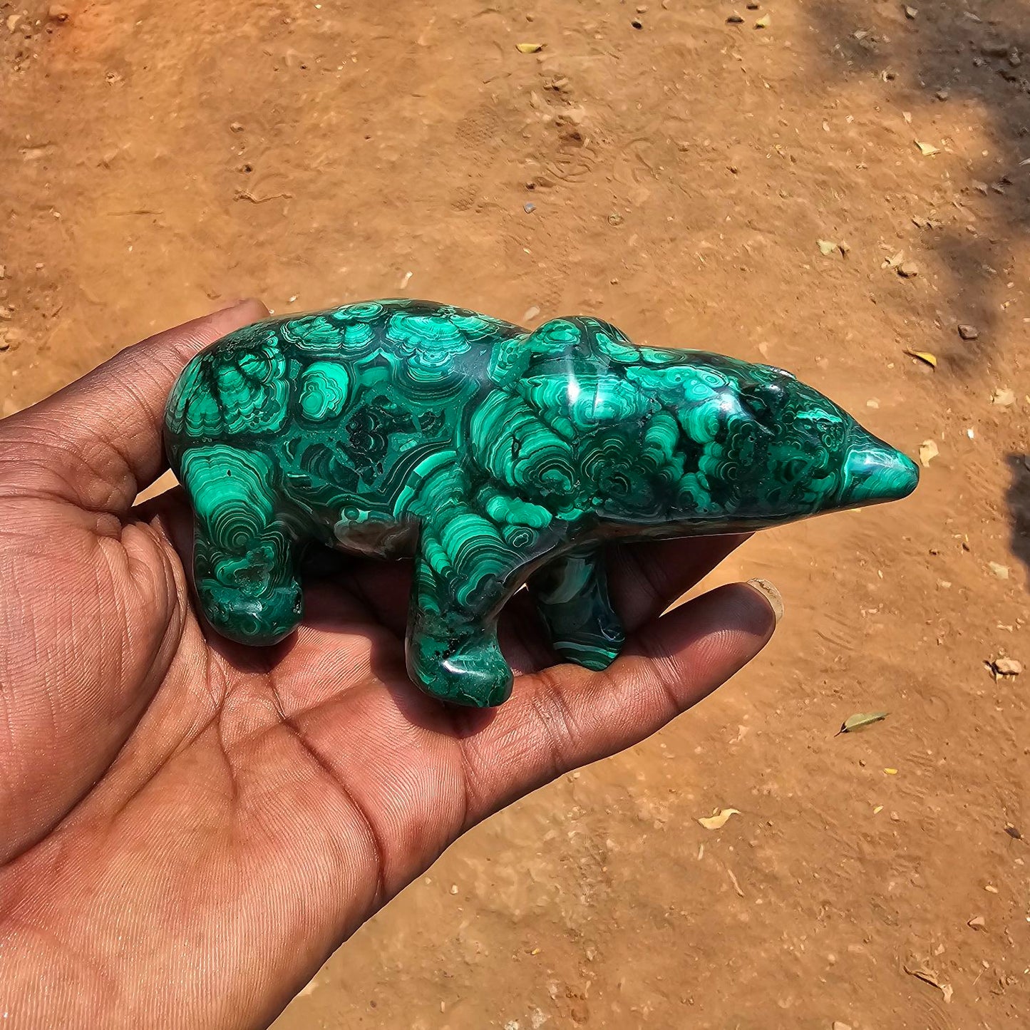Malachite Bear