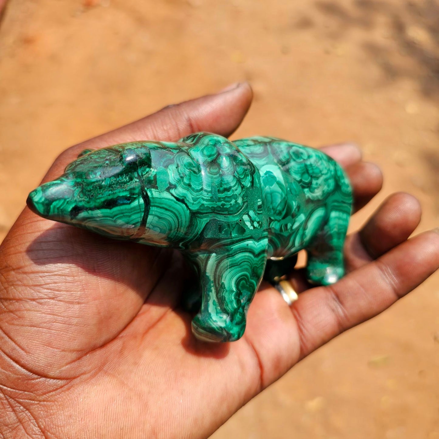 Malachite Bear
