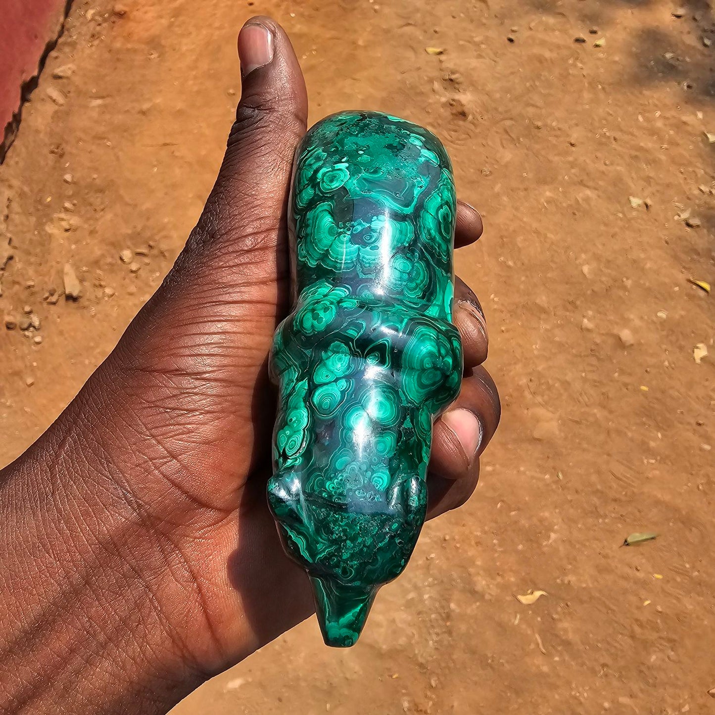 Malachite Bear