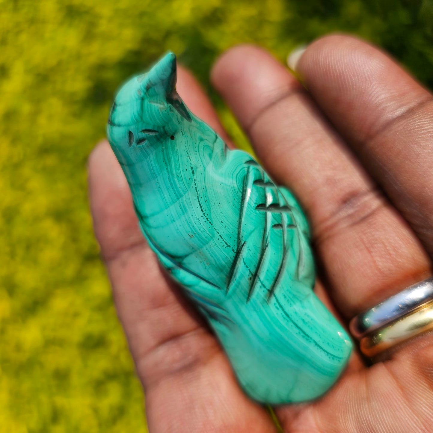 Malachite Bird