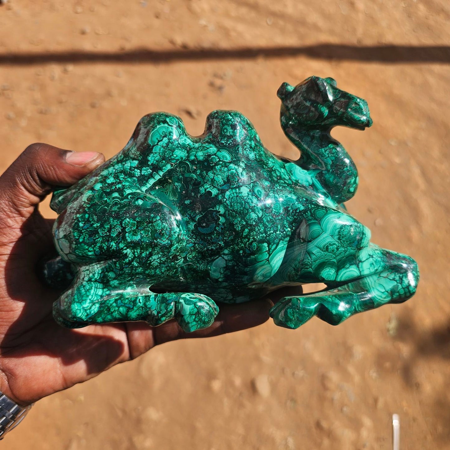 Malachite Camel