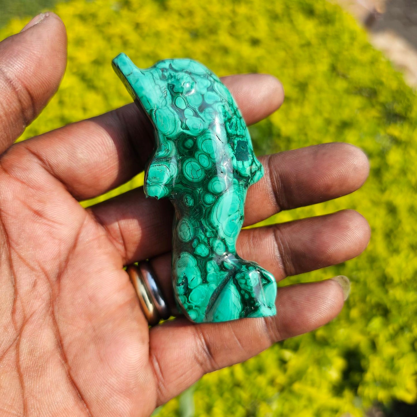 Malachite Dolphin 🐬