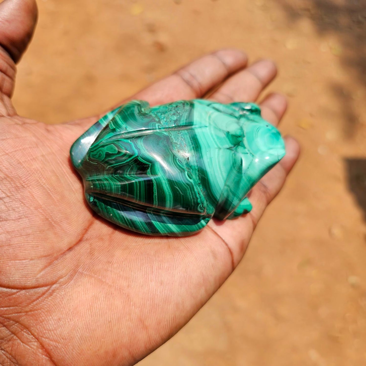Malachite Frog