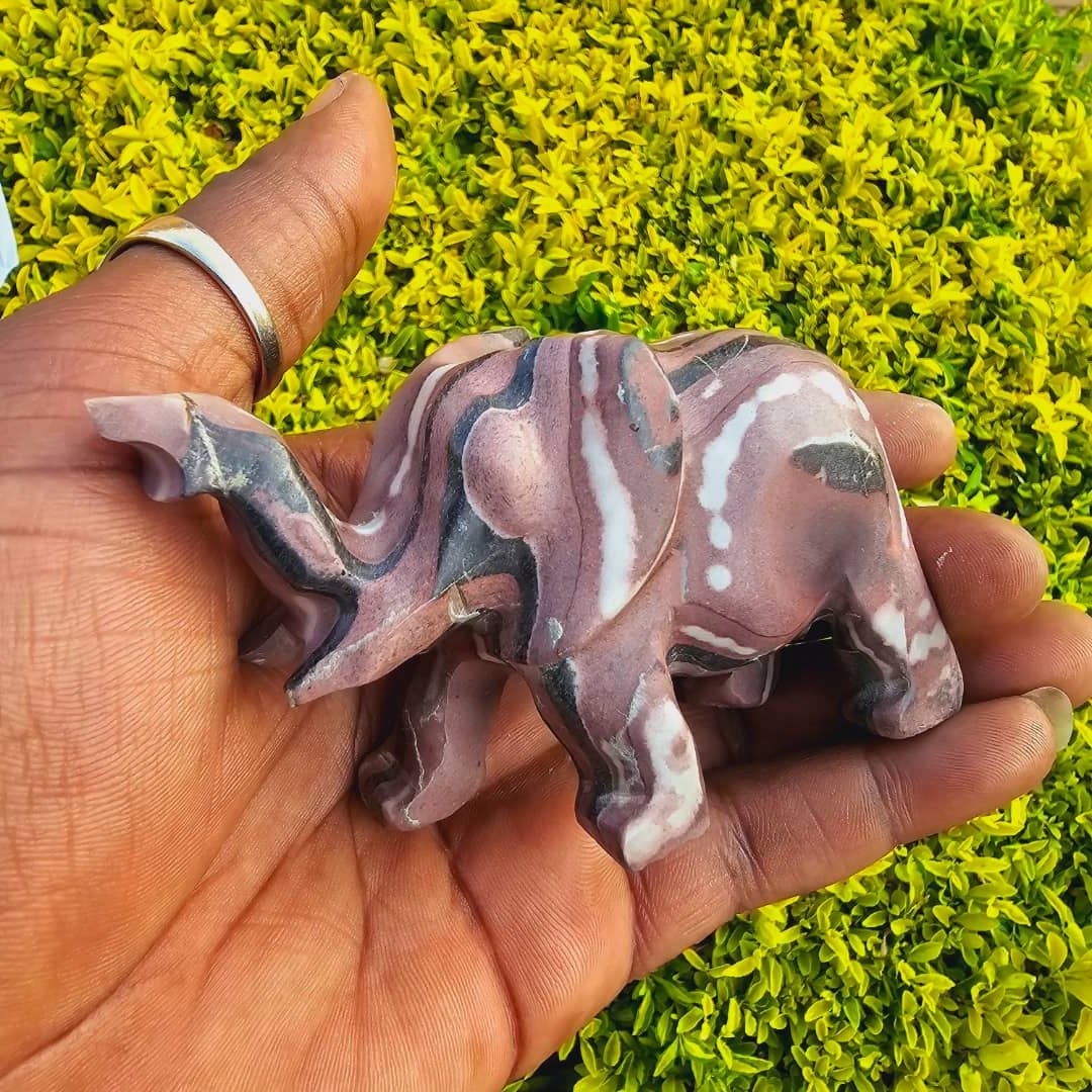Schist Elephant