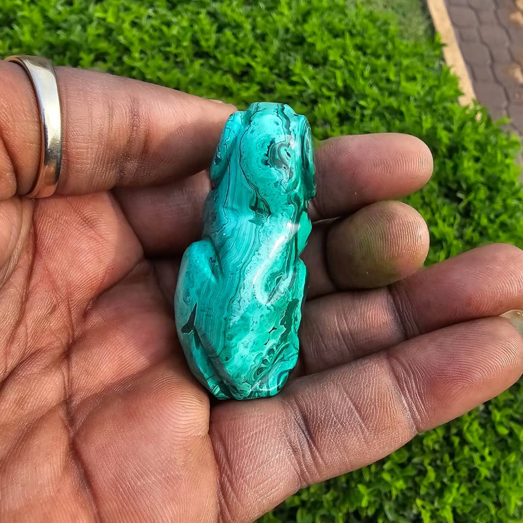 Image of Malachite Dog 03