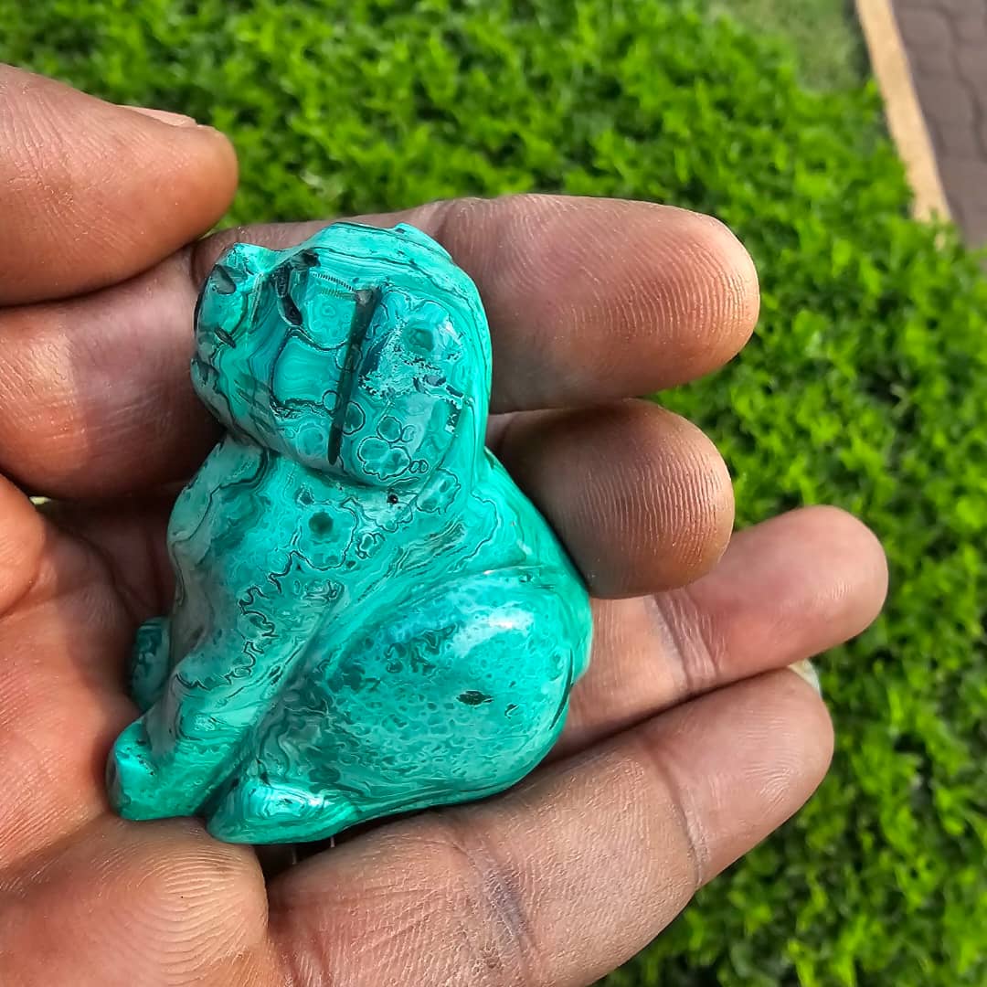 Image of Malachite Dog 02