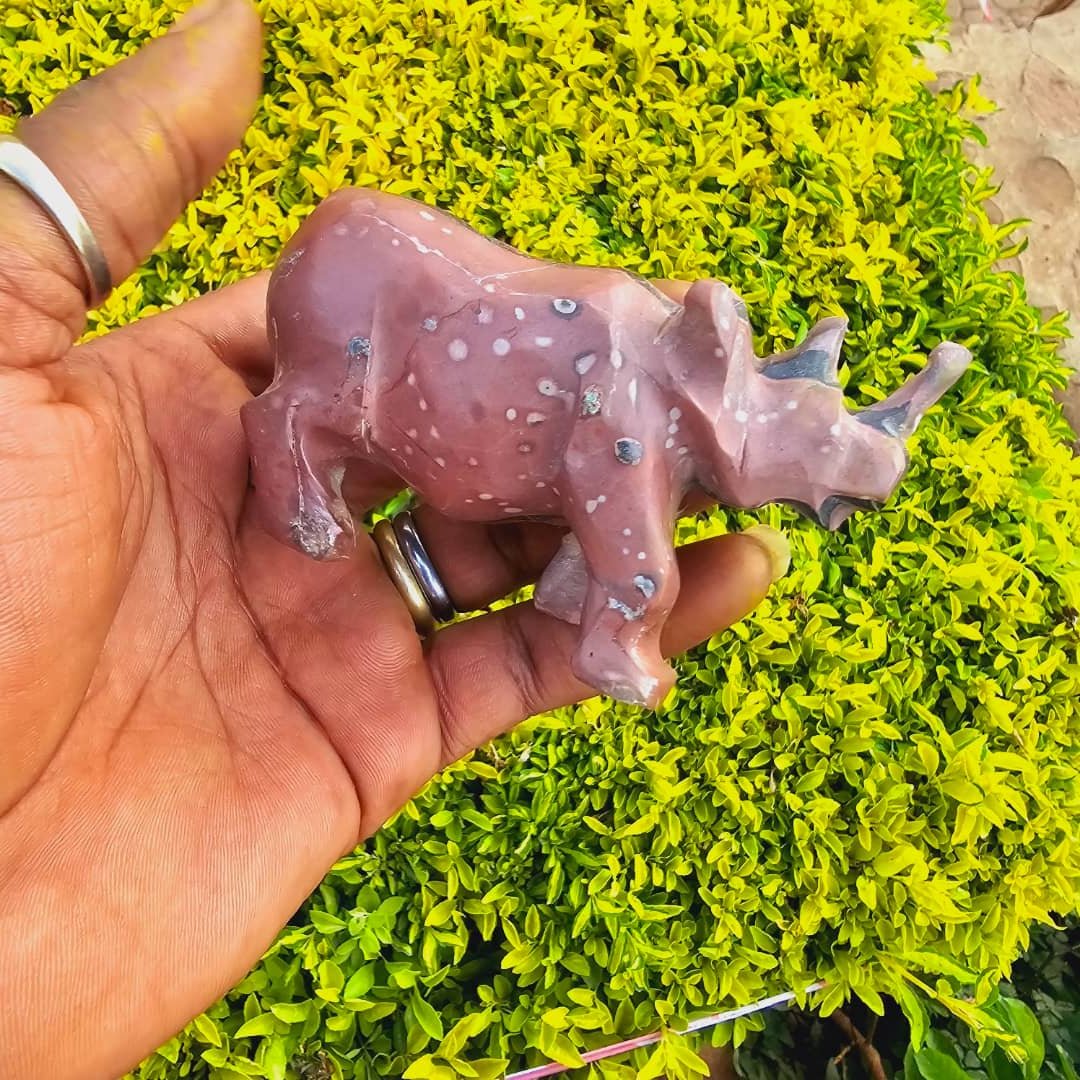 Image of Schist Rhino from Africa
