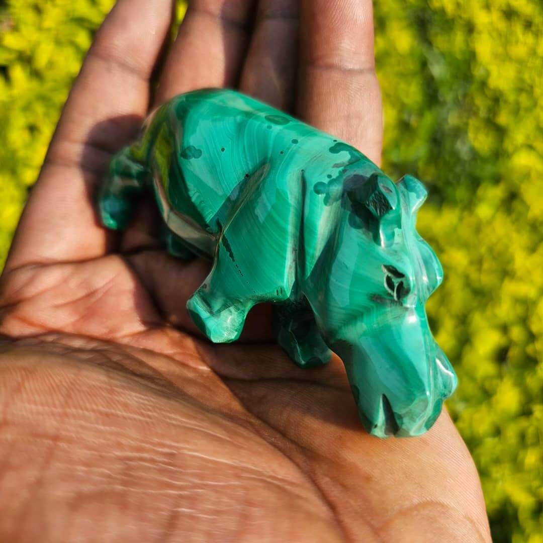 Image of Malachite Hippo 02