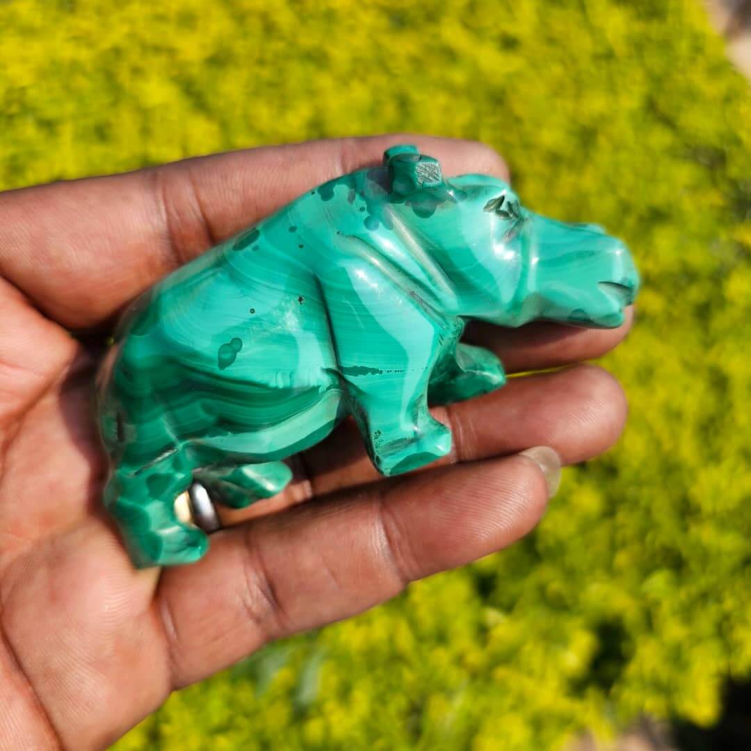 Image of Malachite Hippo 03
