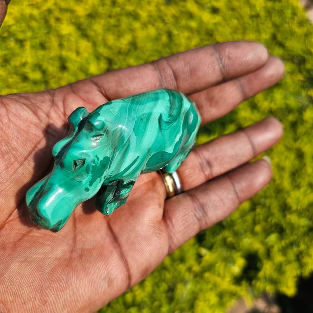 Image of Malachite Hippo 01