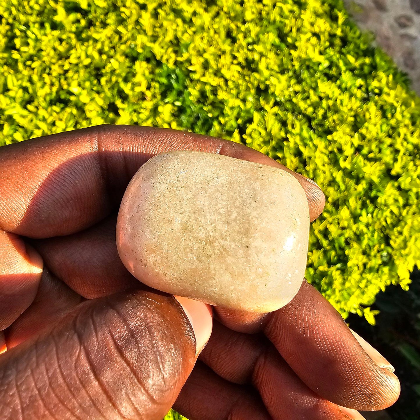 Polished Soap Stone