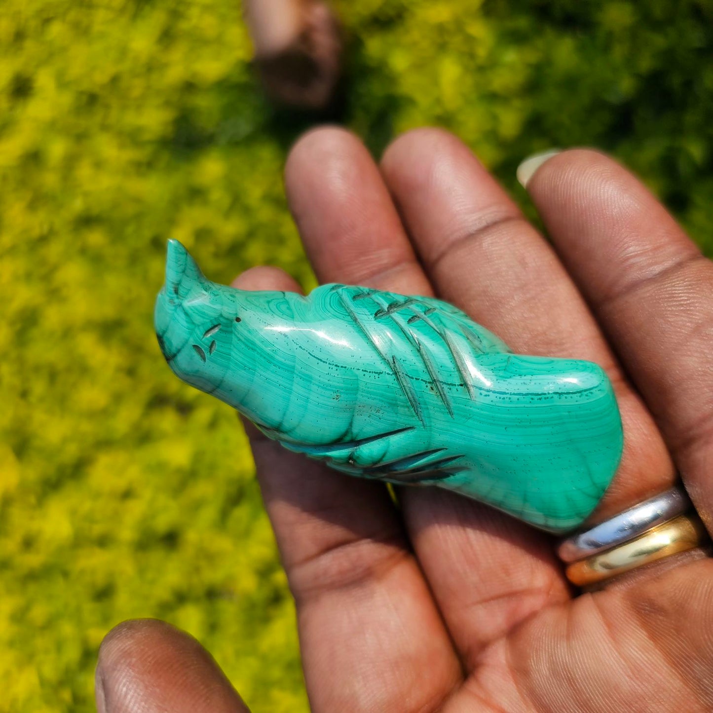 Malachite Bird