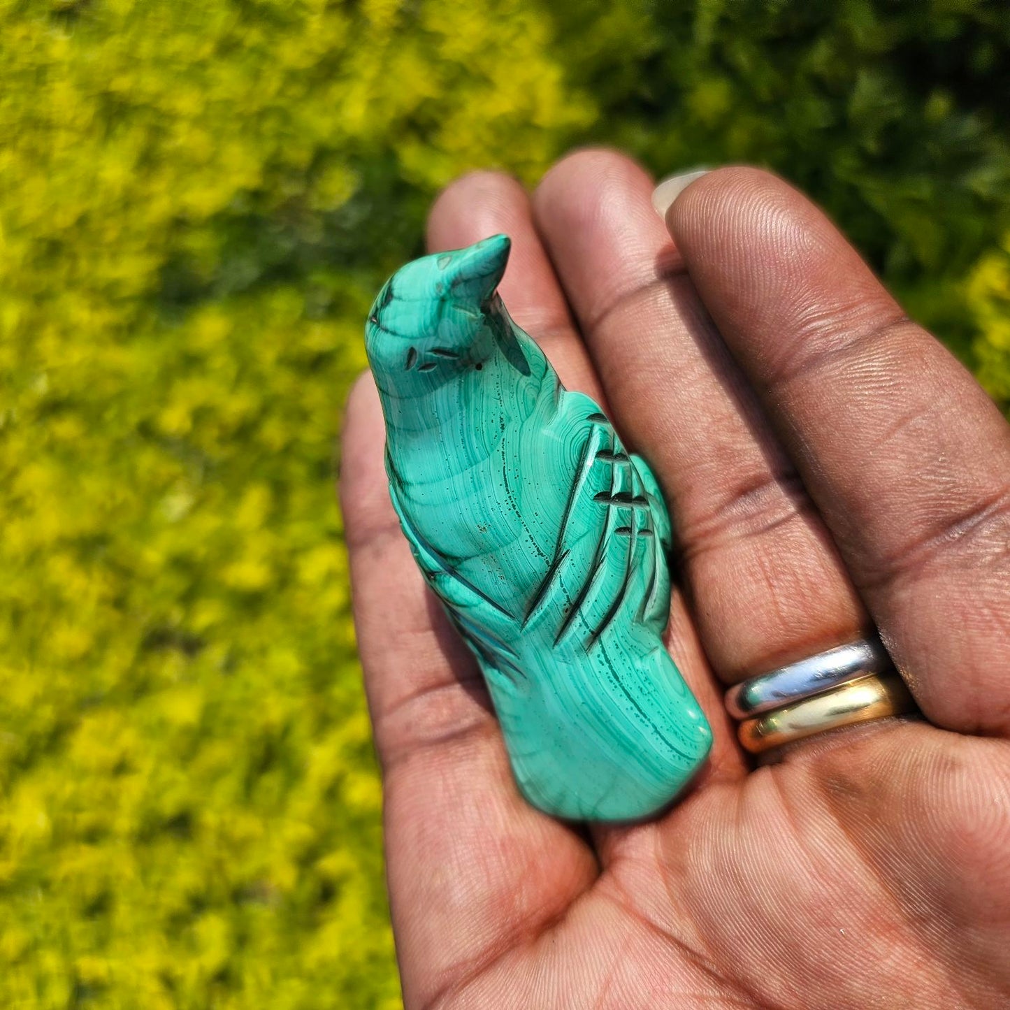 Malachite Bird