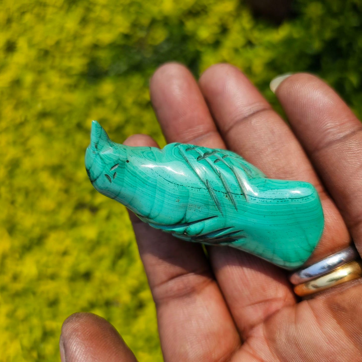 Malachite Bird