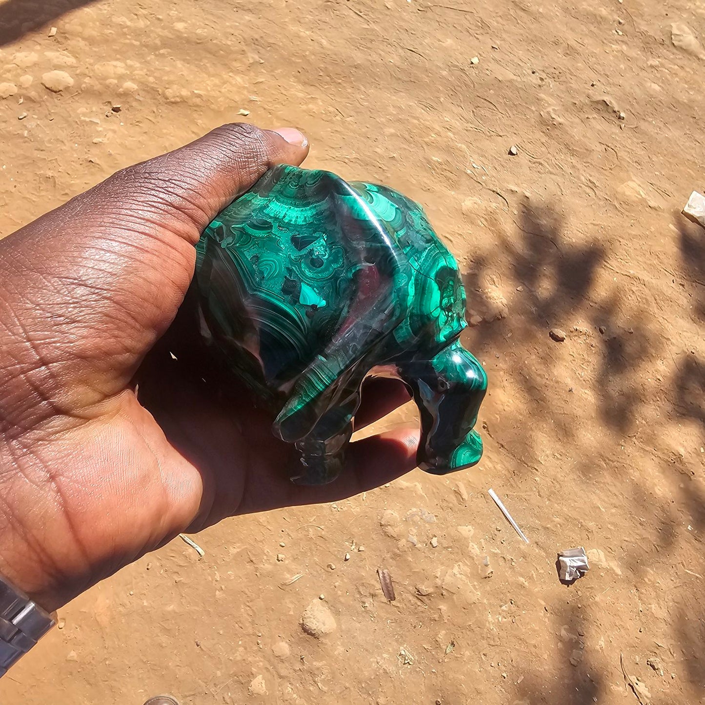 Malachite Rhinoceros🦏