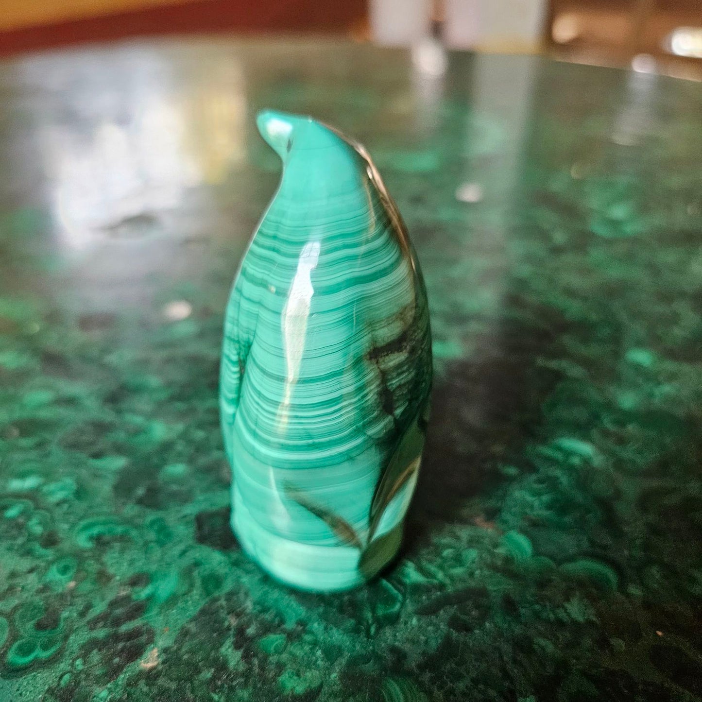 Malachite penguin