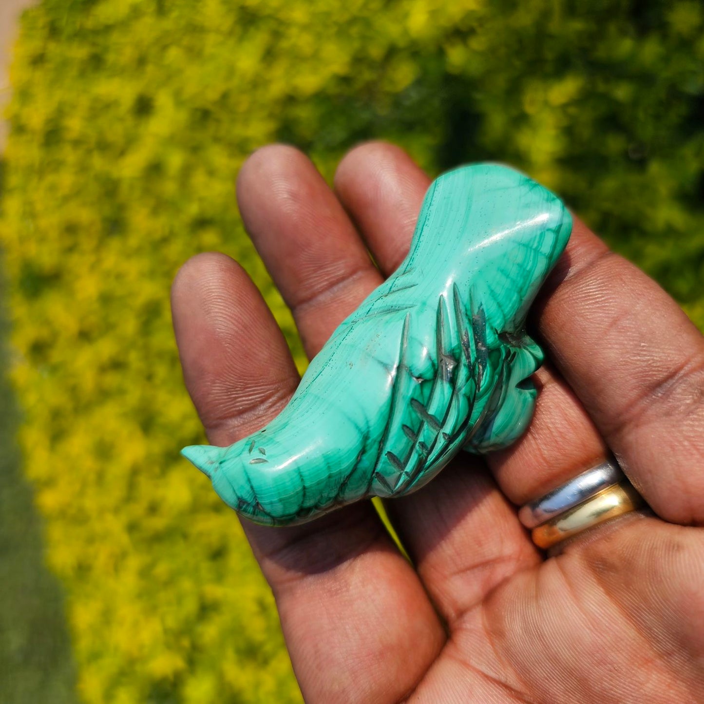 Malachite Bird