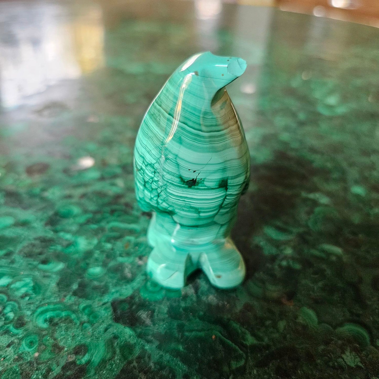 Malachite penguin