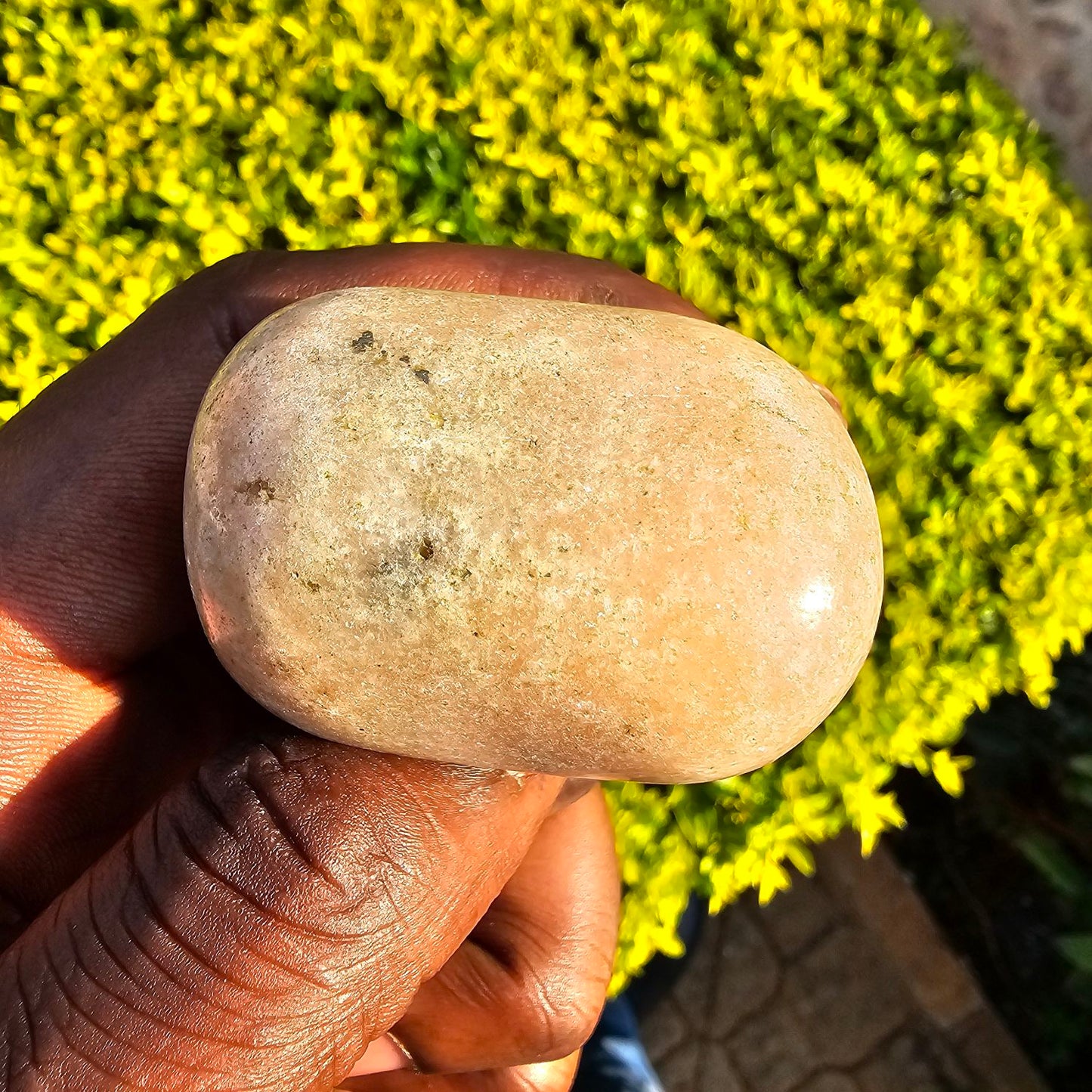 Polished Soap Stone