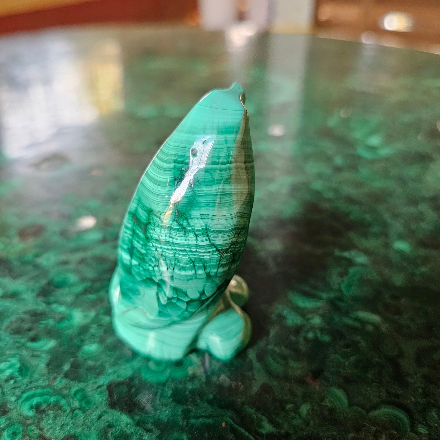 Malachite penguin
