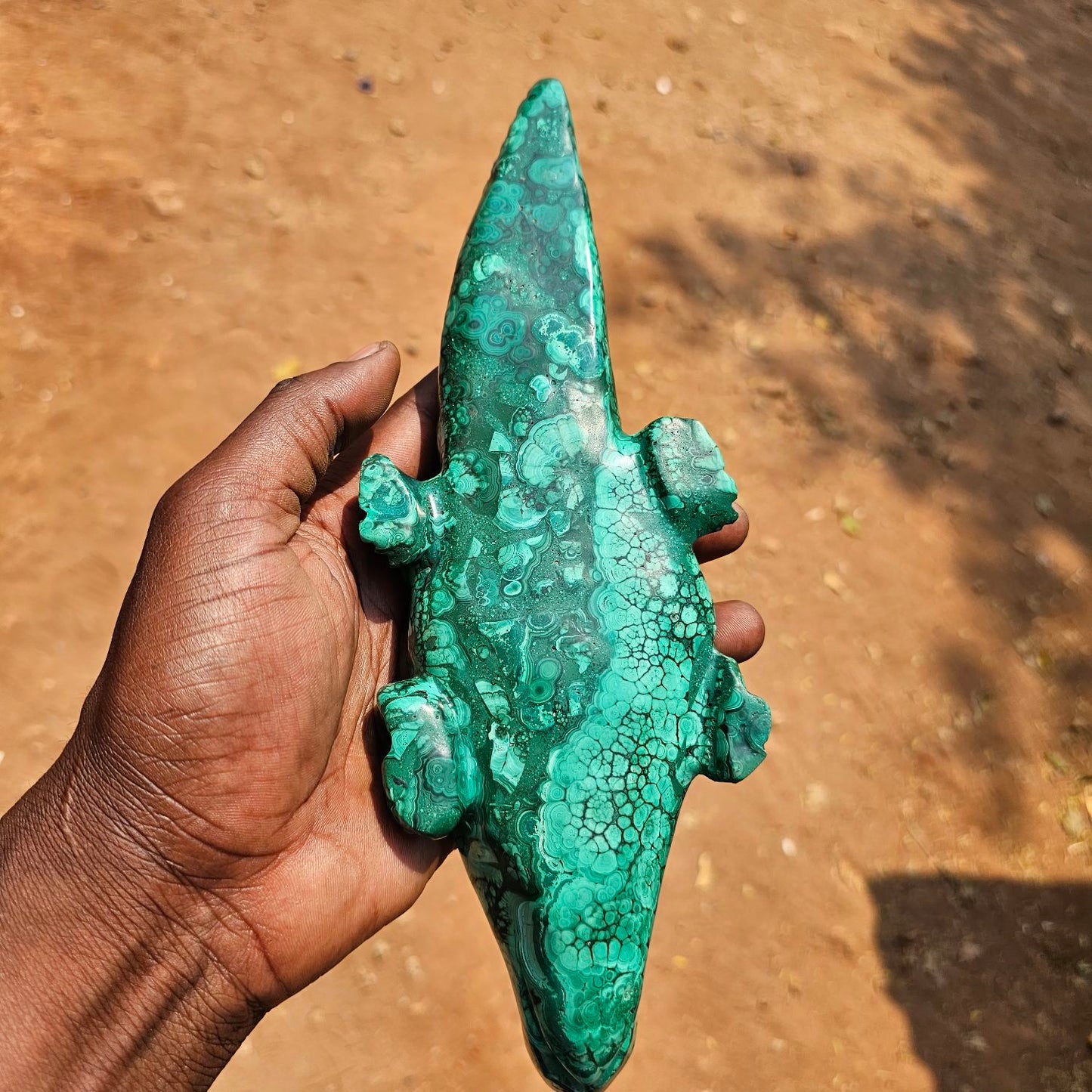 Malachite Crocodile