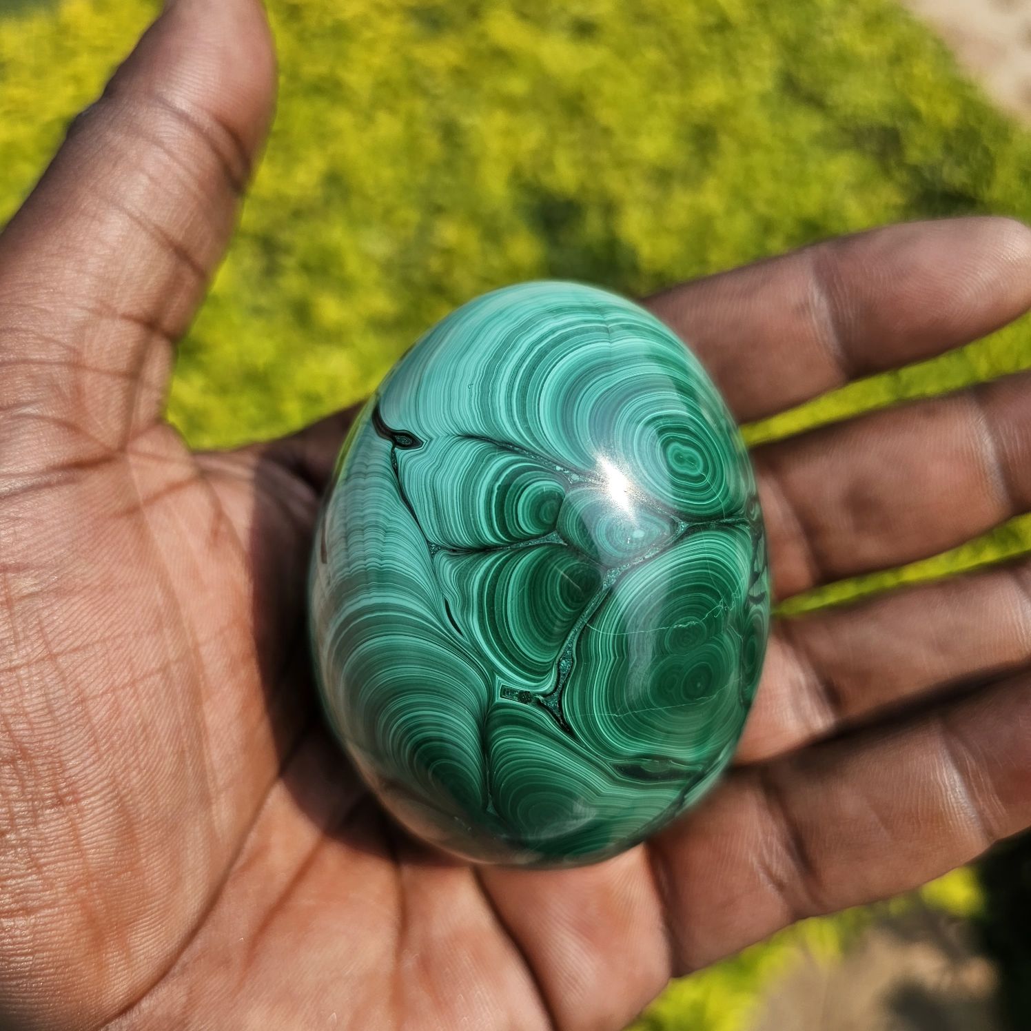 Egg Malachite