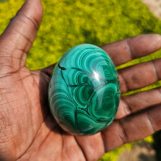Egg Malachite