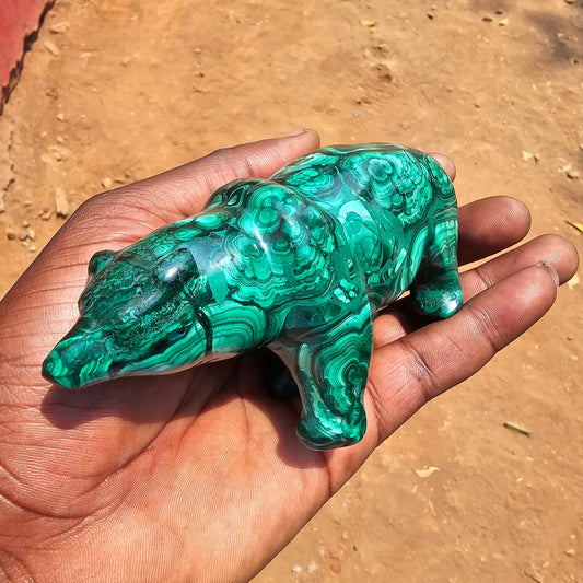 Malachite Bear