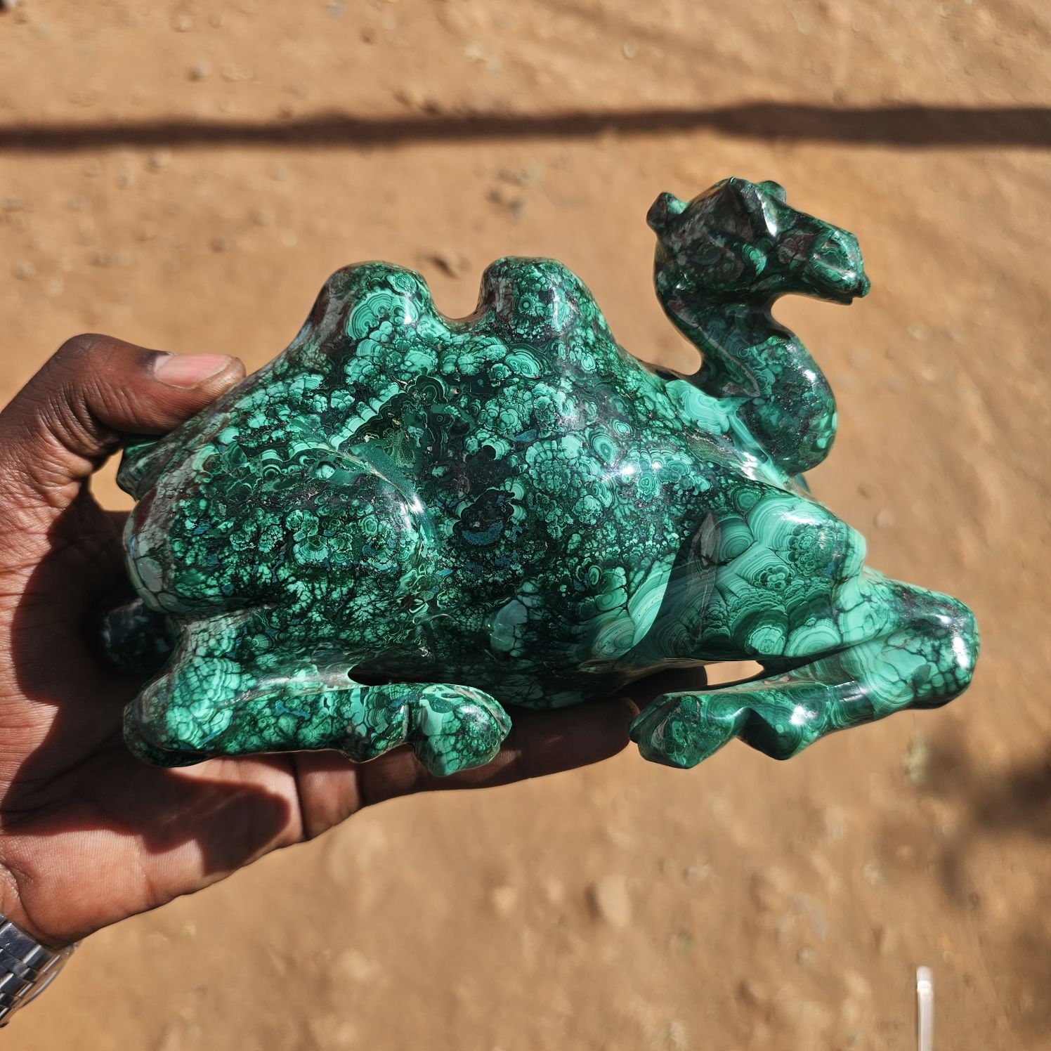 Malachite Camels