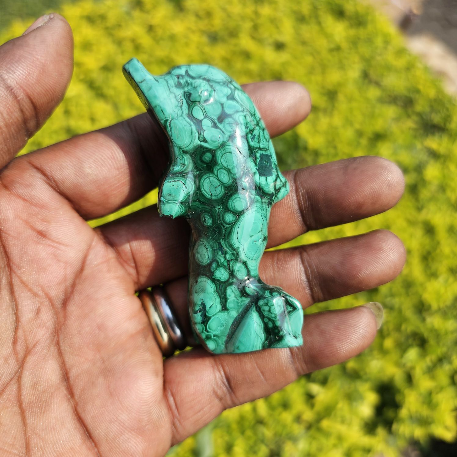 Malachite Dolphin 🐬