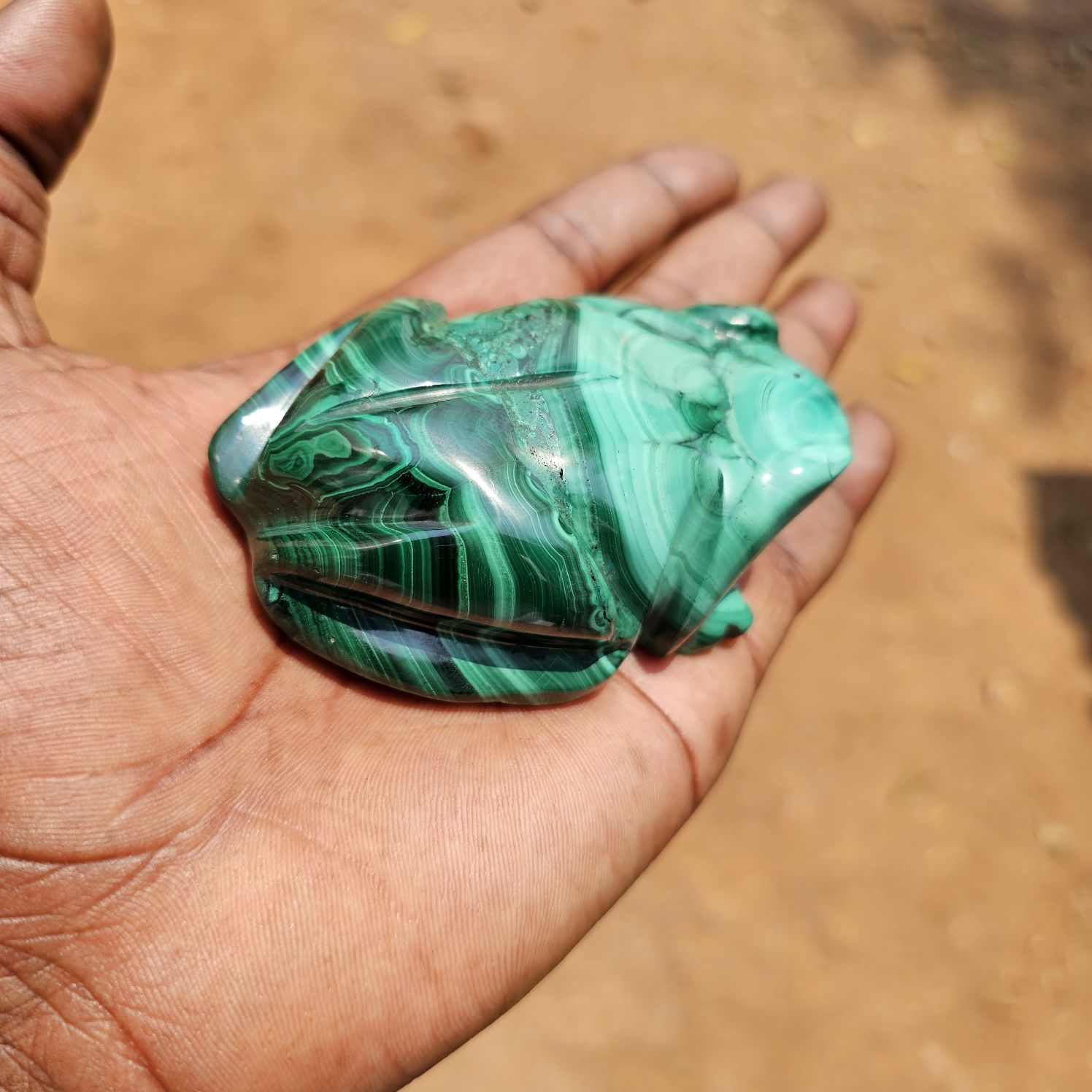 Malachite Frog