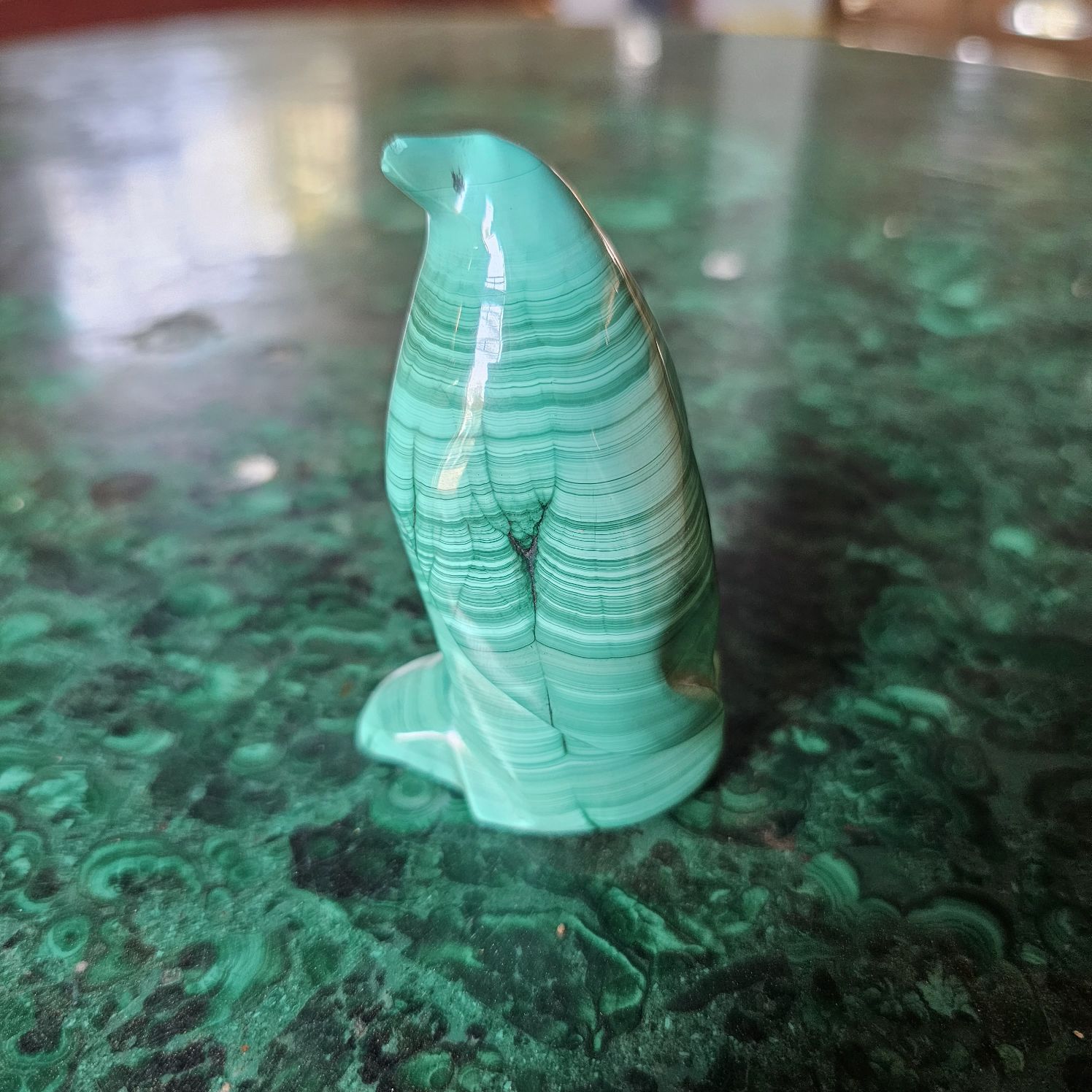 Malachite penguin