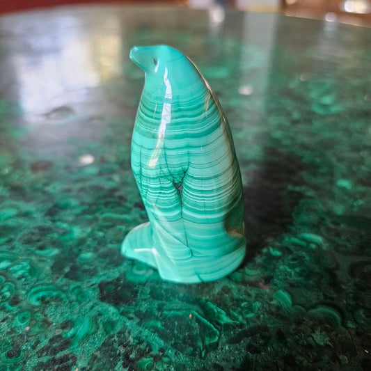 Malachite penguin