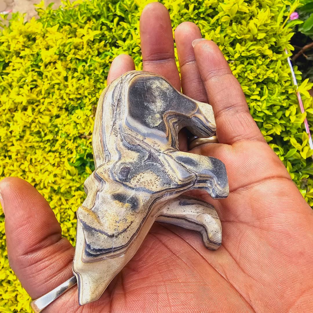 Image of Bear Schist Stone 02