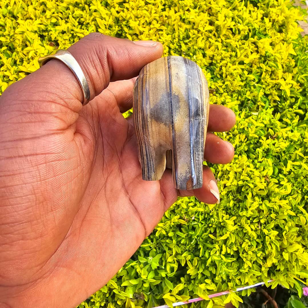 Image of Bear Schist Stone