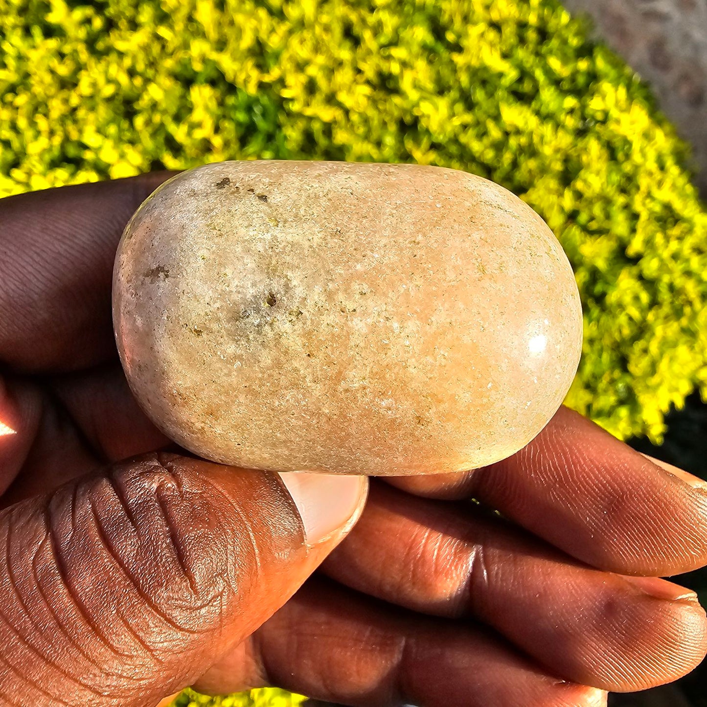 Polished Soap Stone