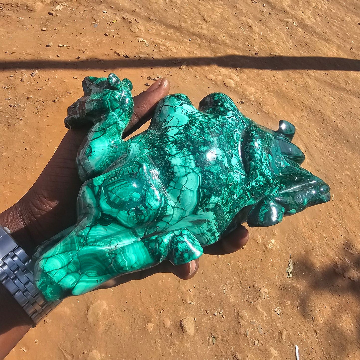 Malachite Camel