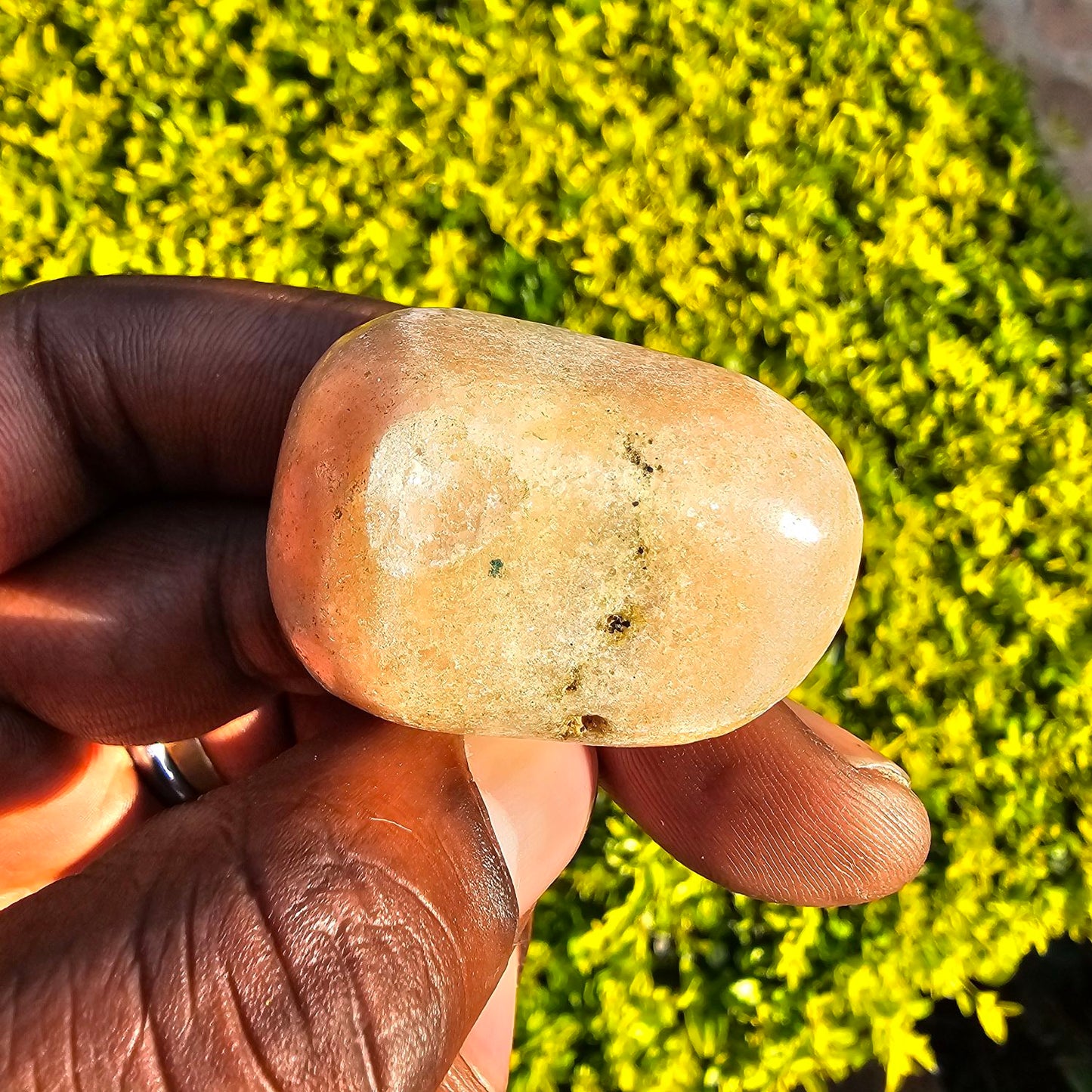 Polished Soap Stone